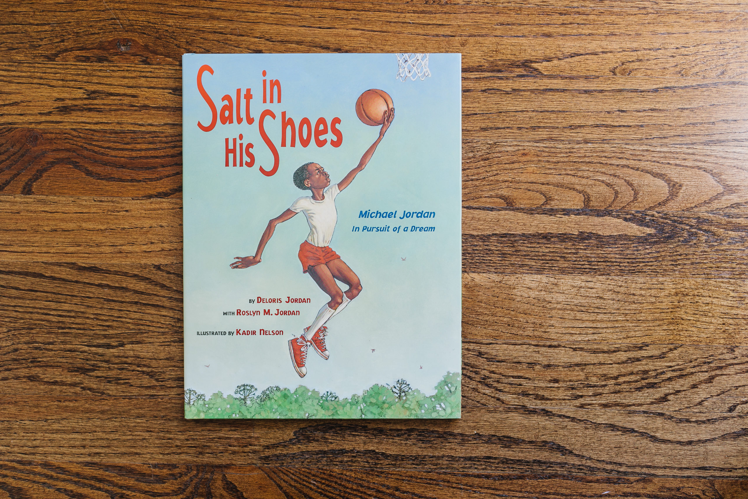 salt in his shoes by deloris jordan