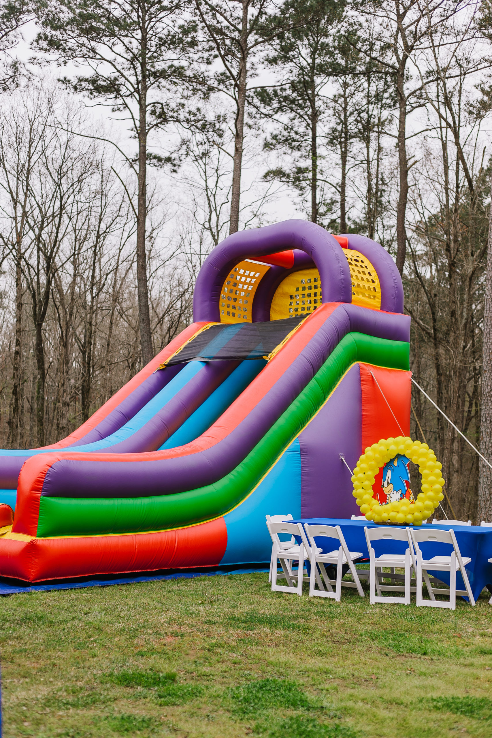 sonic the hedgehog theme birthday party
