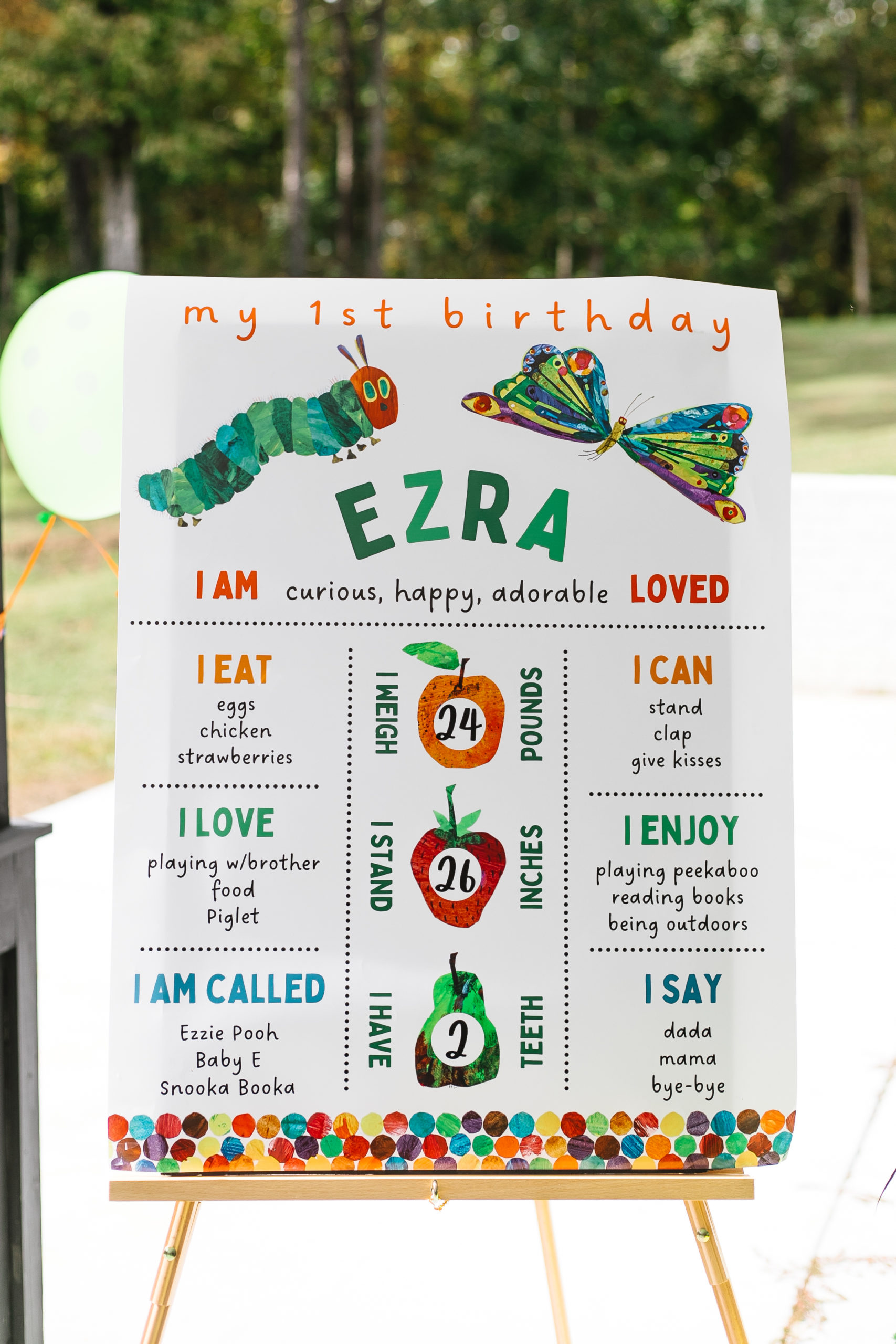 1st birthday milestone board