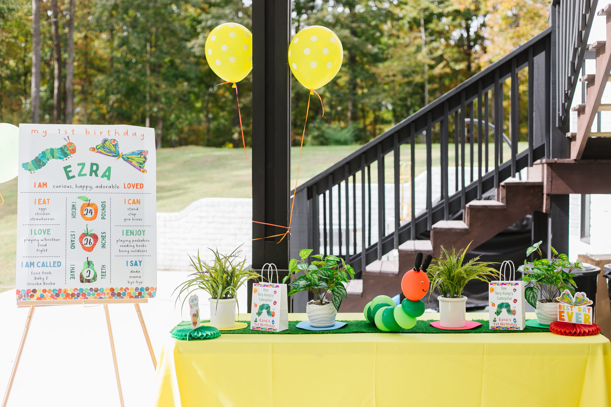 very hungry caterpillar themed birthday