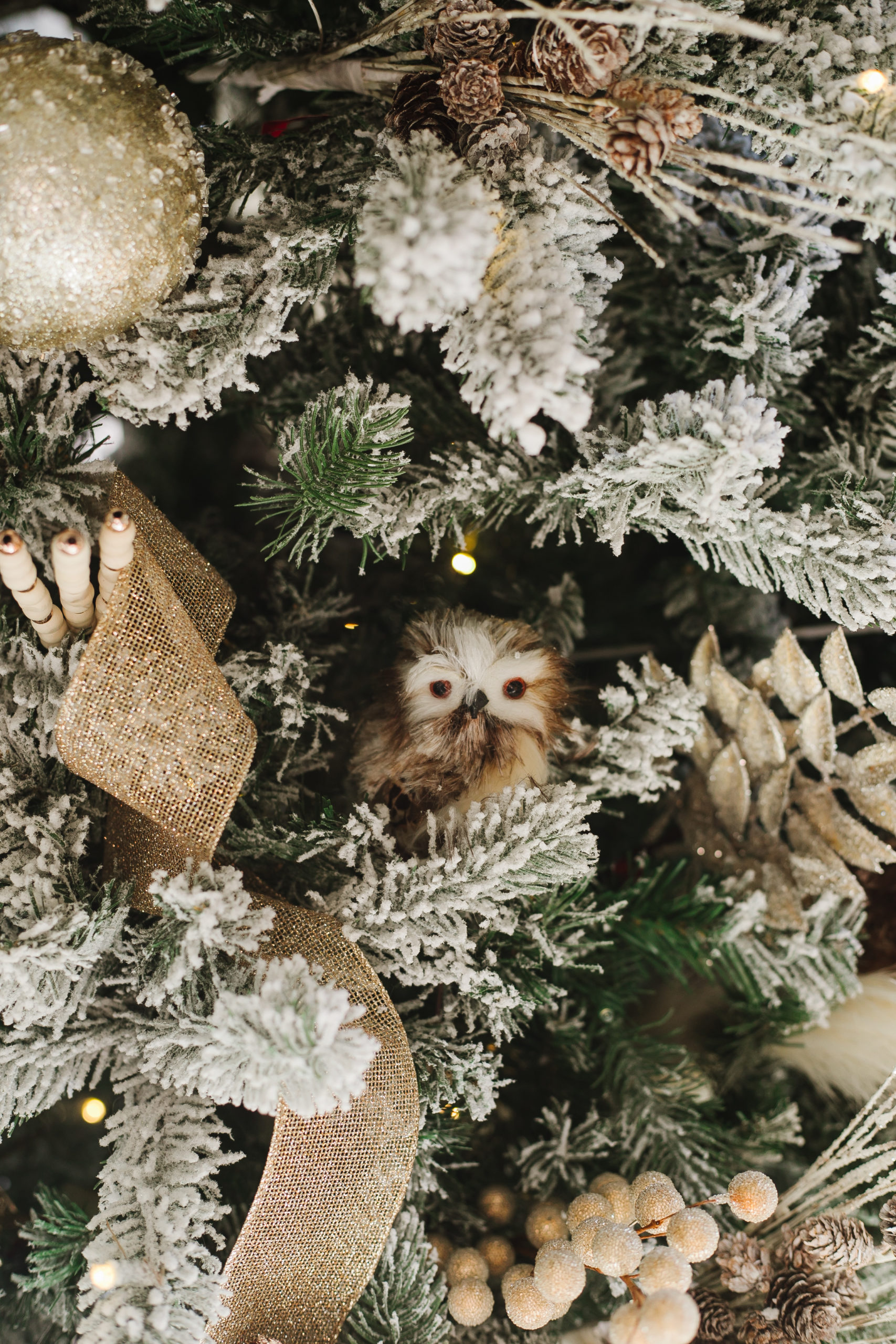 holiday home tour