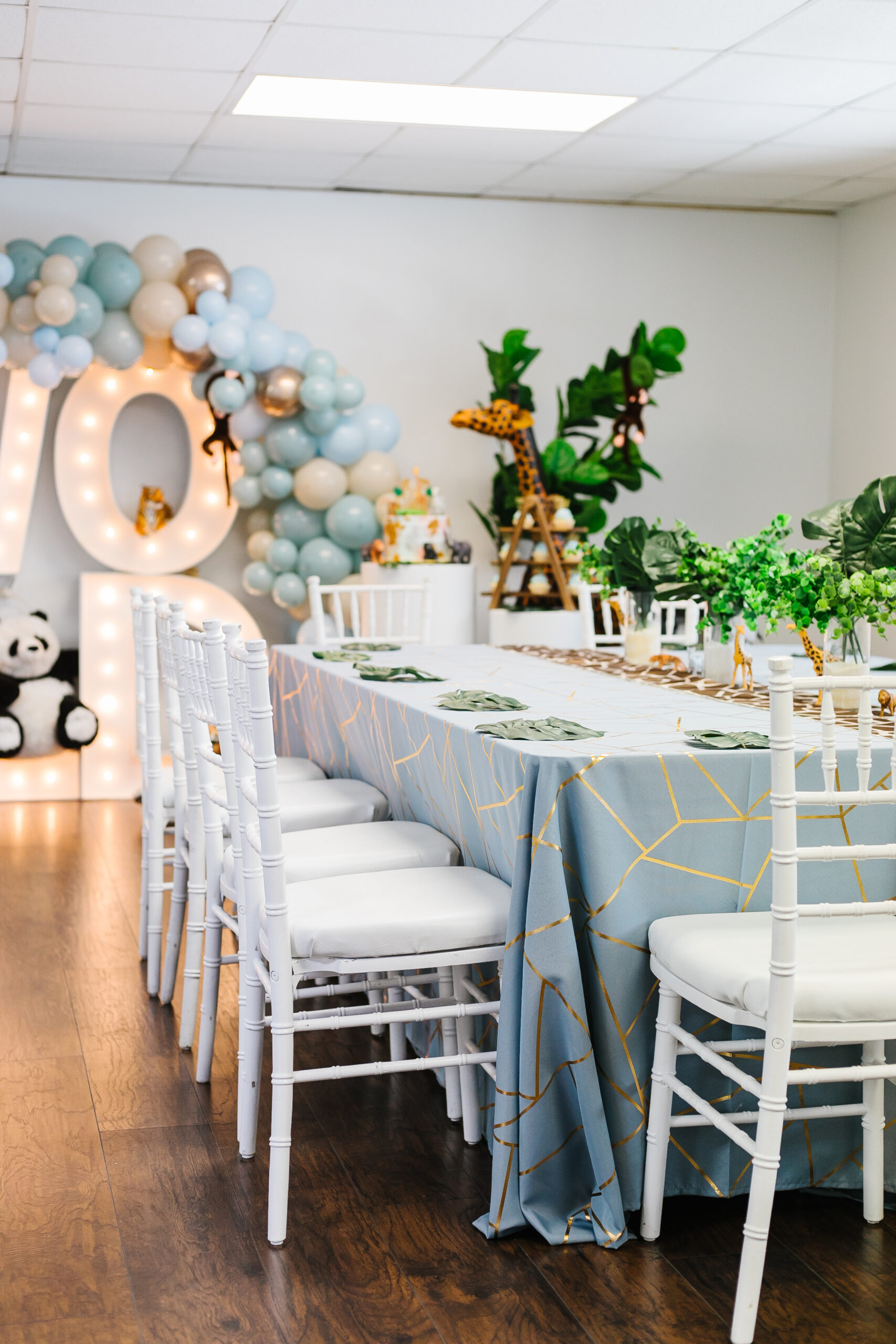 toddler birthday party theme